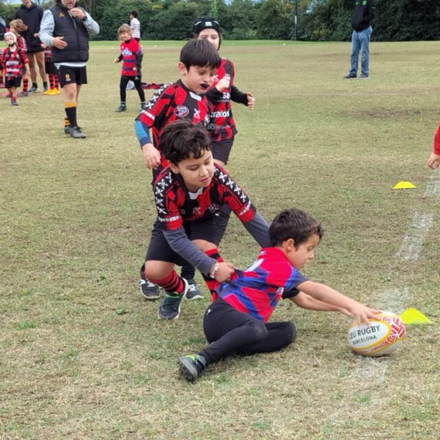 WhatsApp Image 2025-11-08 at 17.33.56