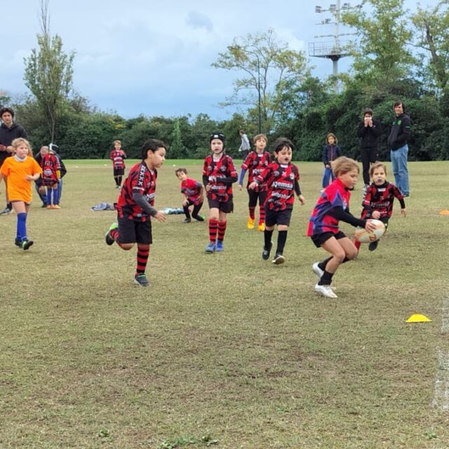 WhatsApp Image 2025-11-08 at 17.33.57 (1)