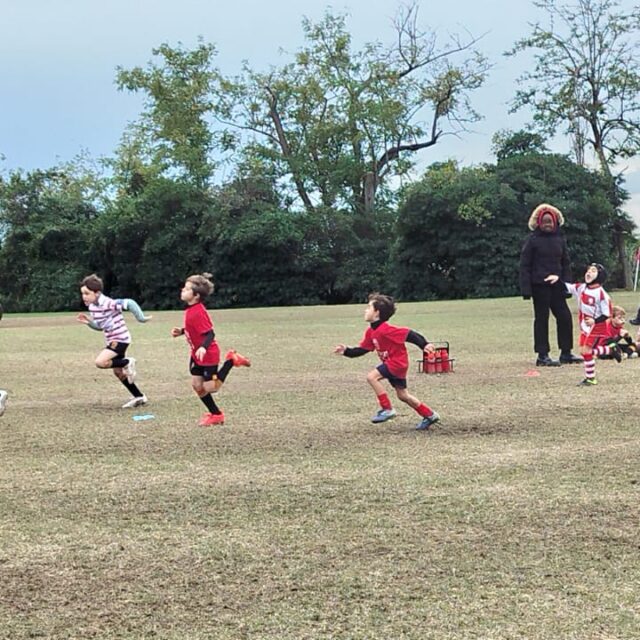 WhatsApp Image 2025-11-08 at 17.33.58 (2)