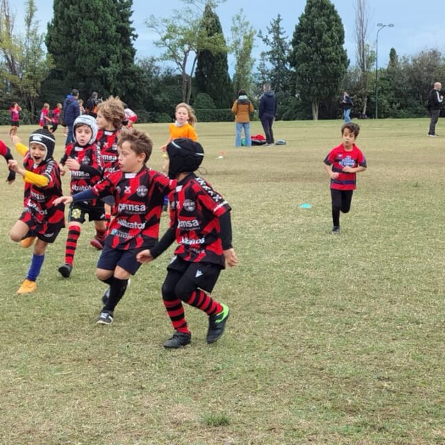 WhatsApp Image 2025-11-08 at 17.33.58