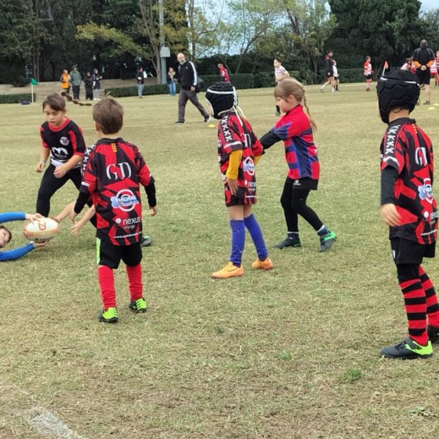 WhatsApp Image 2025-11-08 at 17.33.59 (1)