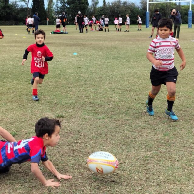 WhatsApp Image 2025-11-08 at 17.33.59