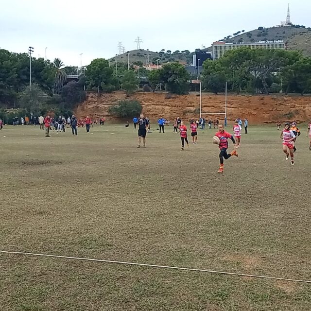 WhatsApp Image 2025-11-08 at 18.37.33