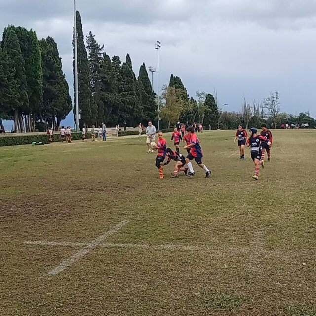 WhatsApp Image 2025-11-08 at 18.37.58