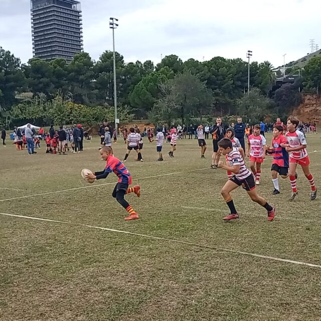 WhatsApp Image 2025-11-08 at 18.38.09