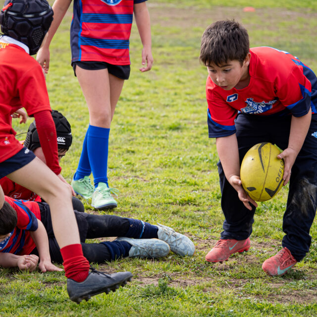 TROBADA ESCOLETES-139